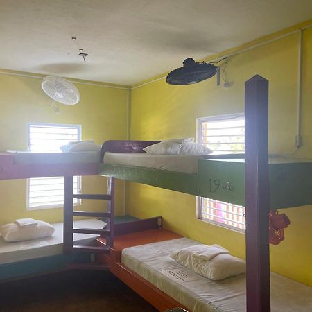 Travellers Palm Backpackers Hostel เคย์คอล์กเกอร์ ภายนอก รูปภาพ