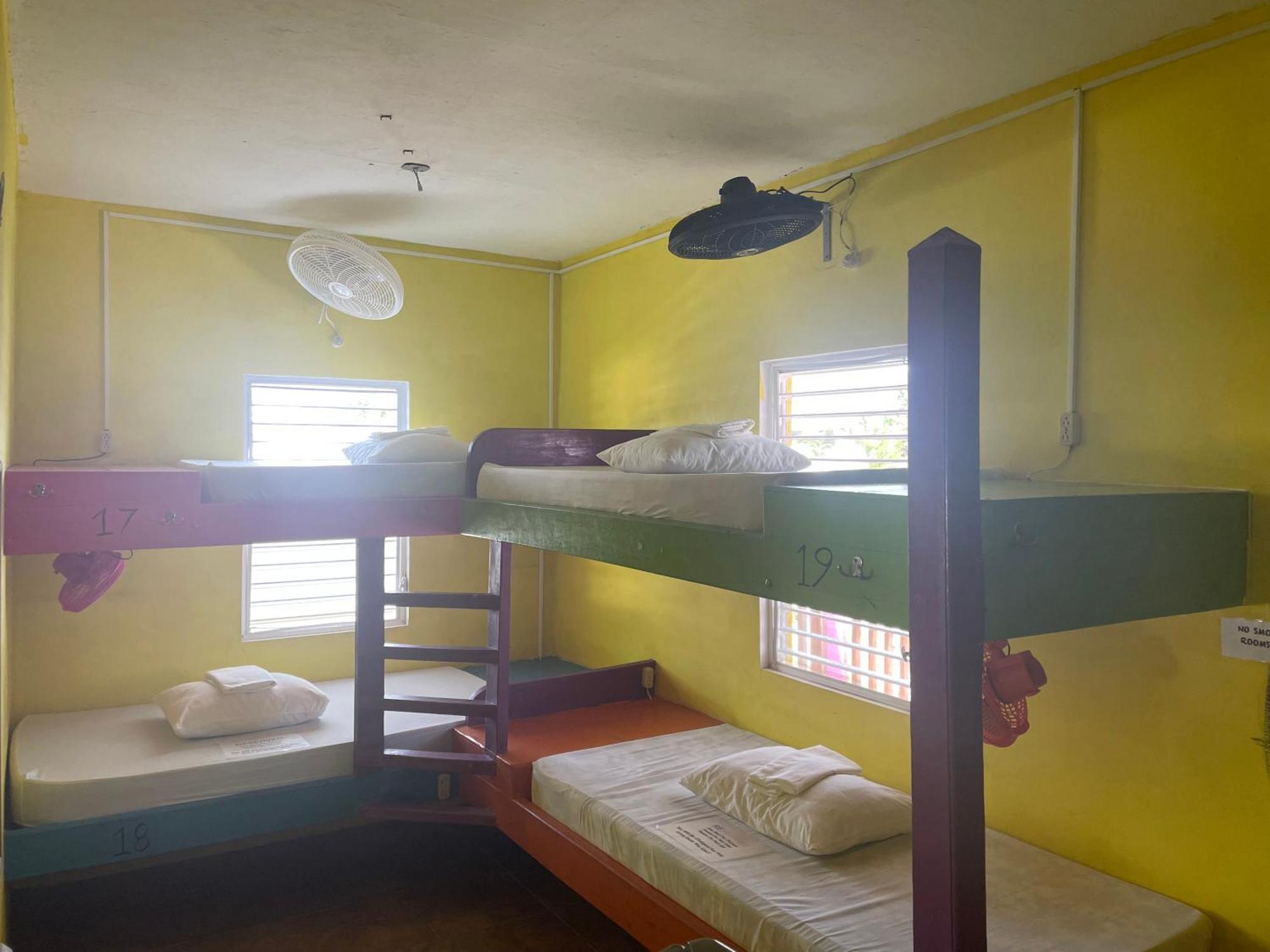 Travellers Palm Backpackers Hostel เคย์คอล์กเกอร์ ภายนอก รูปภาพ