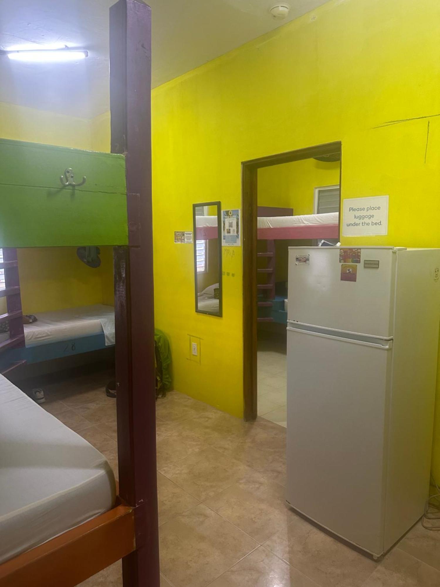 Travellers Palm Backpackers Hostel เคย์คอล์กเกอร์ ภายนอก รูปภาพ