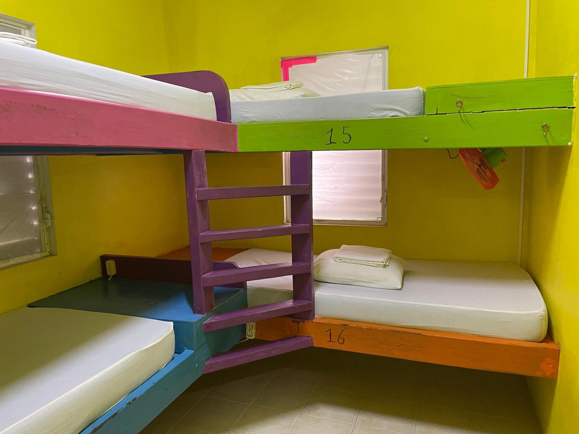 Travellers Palm Backpackers Hostel เคย์คอล์กเกอร์ ภายนอก รูปภาพ