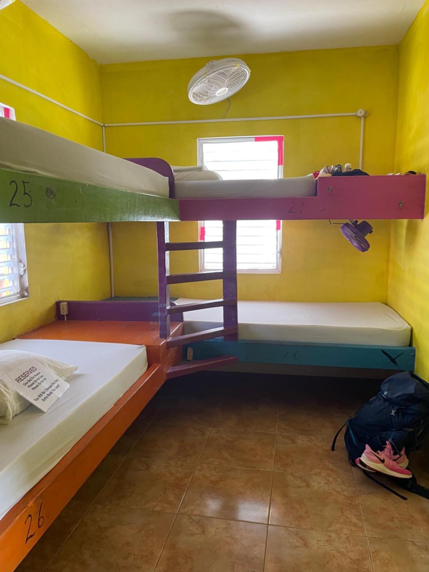 Travellers Palm Backpackers Hostel เคย์คอล์กเกอร์ ภายนอก รูปภาพ