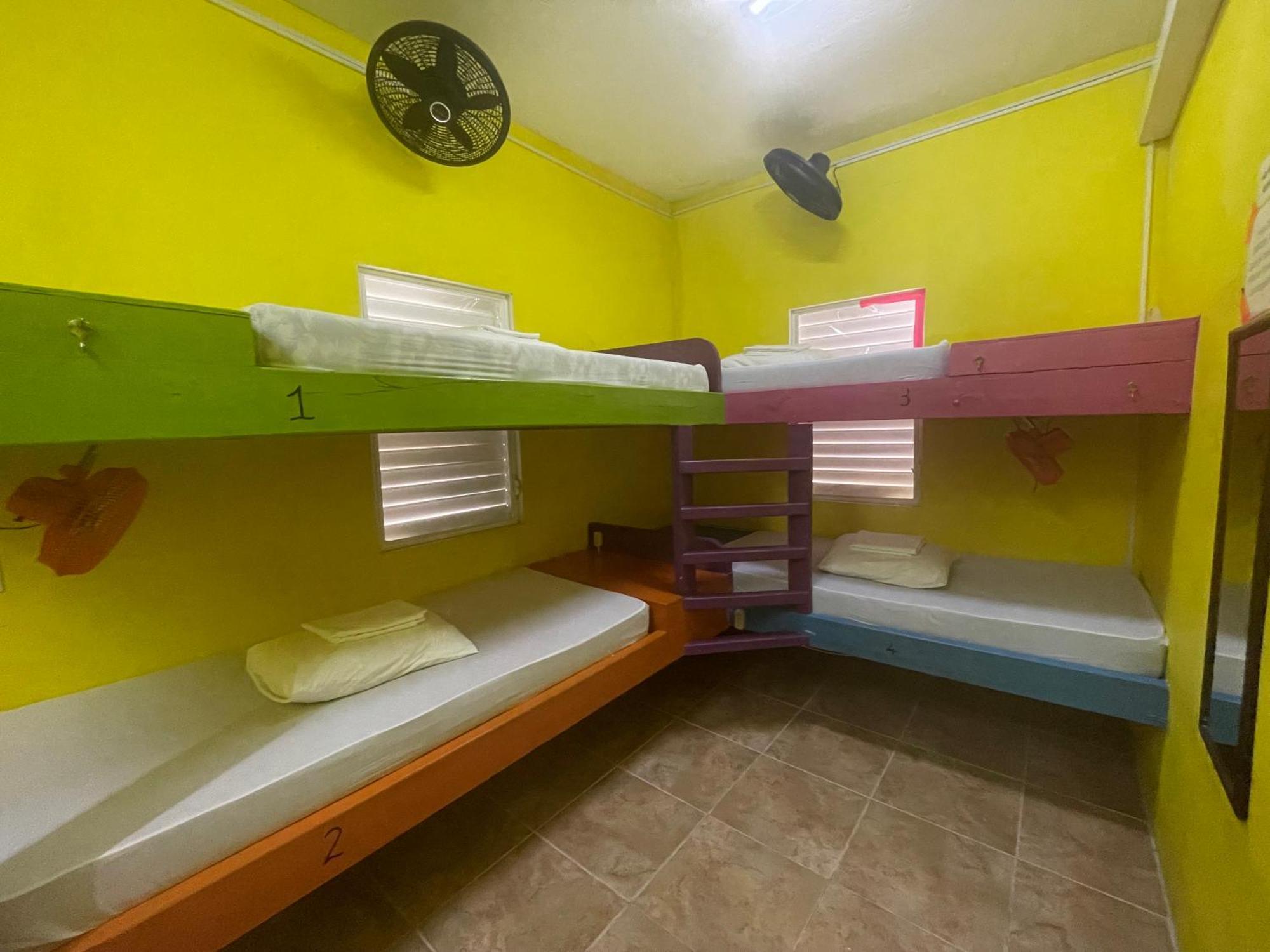 Travellers Palm Backpackers Hostel เคย์คอล์กเกอร์ ภายนอก รูปภาพ