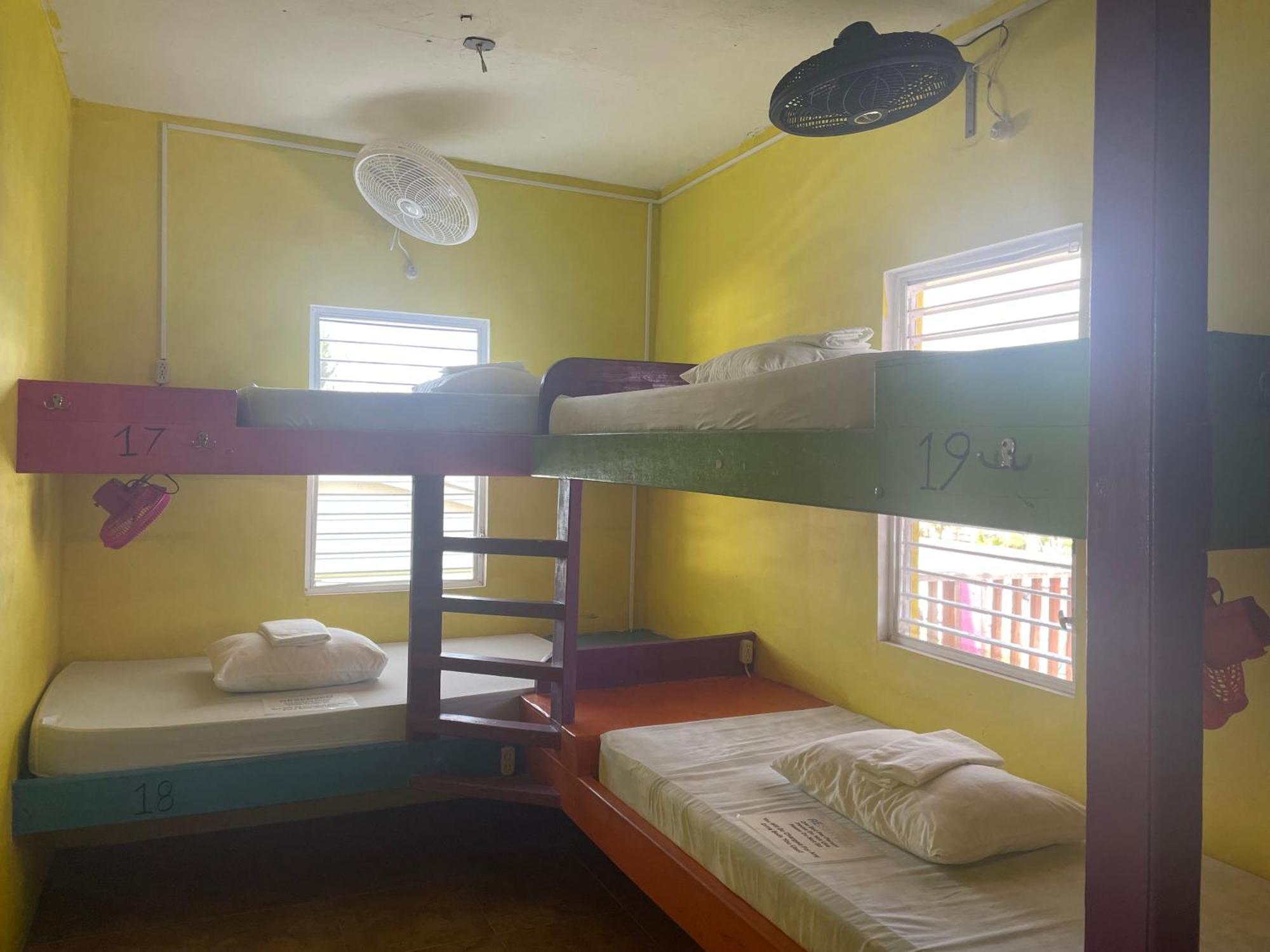 Travellers Palm Backpackers Hostel เคย์คอล์กเกอร์ ภายนอก รูปภาพ
