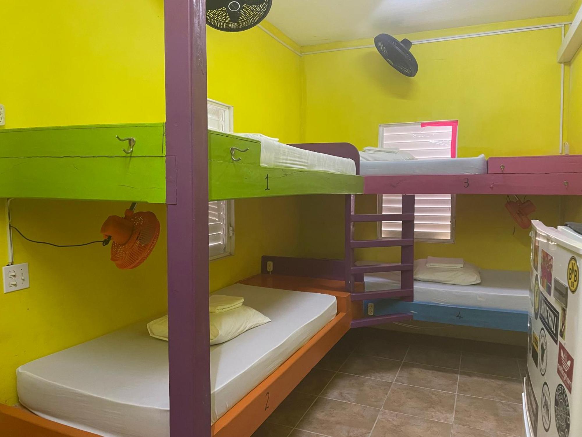 Travellers Palm Backpackers Hostel เคย์คอล์กเกอร์ ภายนอก รูปภาพ
